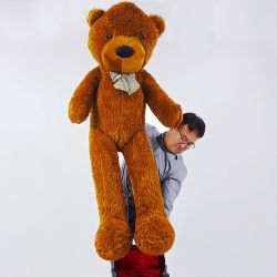 Oso de peluche que aparece - Tamaño gigante
